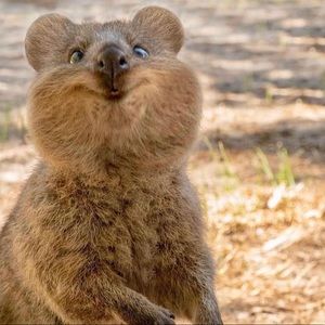 Meet your Posher, Tina